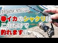 春イカエギングはこのシャクリが出来れば絶対釣れます。一杯目のイカを釣りたい人に教えたい。