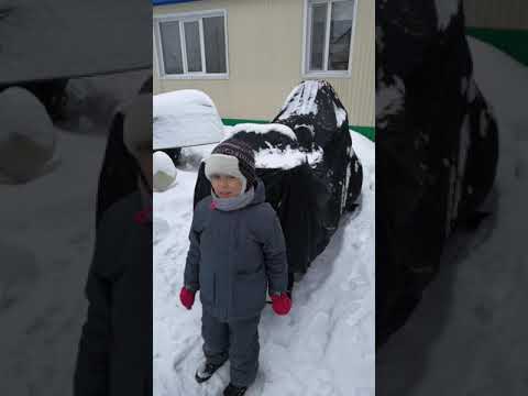 Чехол тайга патруль