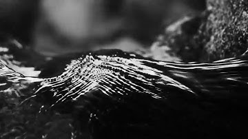 MMV009 | Various Artists EP