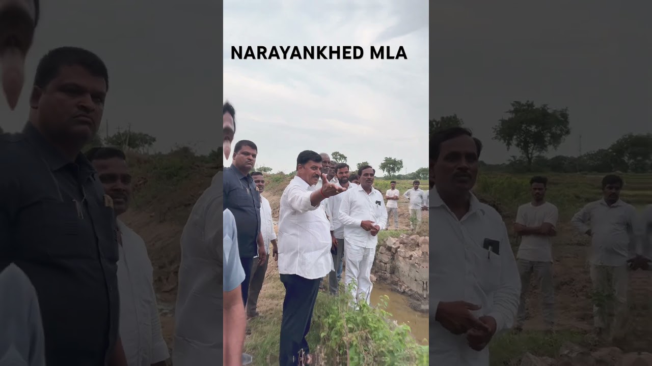 #mla