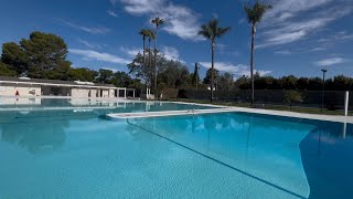 Study in Blue of Fremont’s Glenmoor Pool & Palms