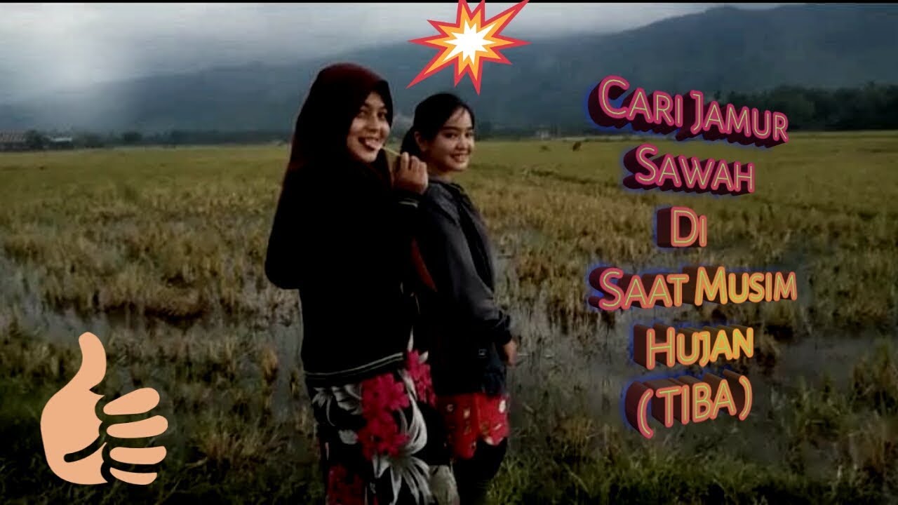 Ciri khas Aceh ,,edisi pileh Kulat Jumpung 