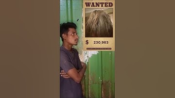 Tutorial wanted filter ☠️😈#moneylove #tutorial #wanted #filter