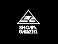 Shoam gavriel  this is my party original mix