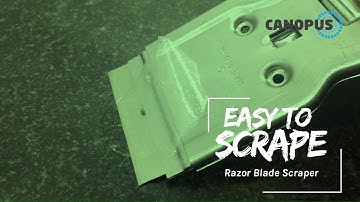 Canopus Razor Blade Scraper