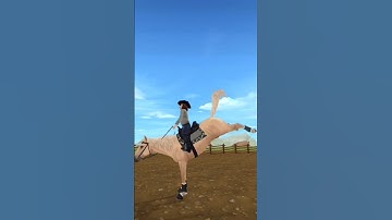 Obsessed with the new mustangs #horse #edit # sso #gen3mustang