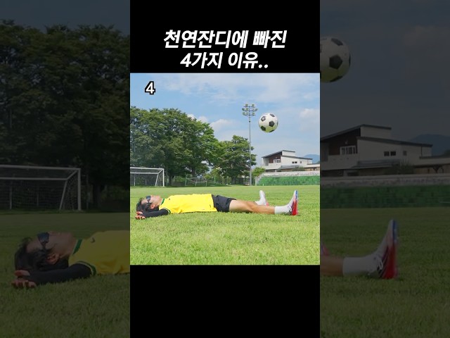 천연잔디만 찾는 이유