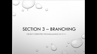 CS1410 Section 3.1  C++ Branching