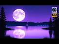 1 Hour Deep Sleep Music for Insomnia Relief &amp; Stress Relief: Ocean Waves