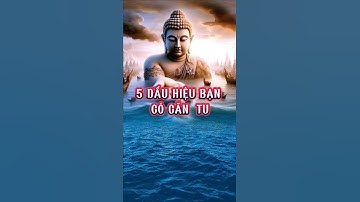 5 dấu hiệu bạn có căn tu từ kiếp trước #baihoccuocsong #phattrienbanthan #loiphatday