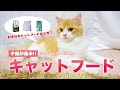 子猫が選ぶ！オススメの人気キャットフードランキング！【スコティッシュフォールド】/【Scottish Fold Cat】