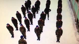 Original Harlem shake (army edition)