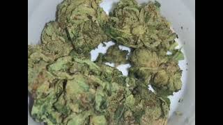 Canaca Cannabis Purps Buds