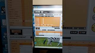 Vintage Boss BR Rhythm Editor for Boss BR900CD Digital Recording Studio портастудия #shorts #studio