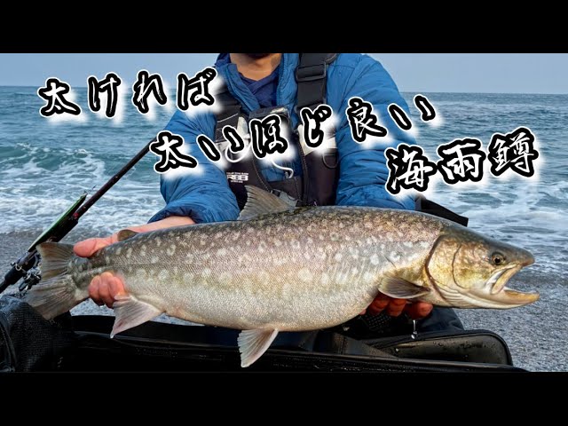 サクラも釣れたけど