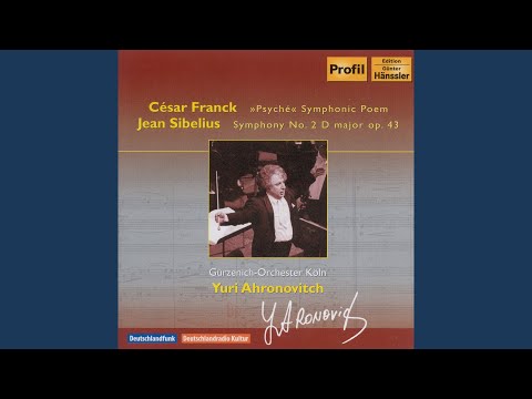 在 YouTube 上觀看「Symphony No. 2 in D Major, Op. 43: II. Tempo andante, ma rubato」
