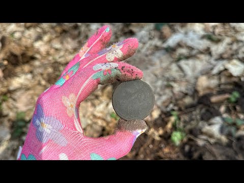 Весняний коп 🌷