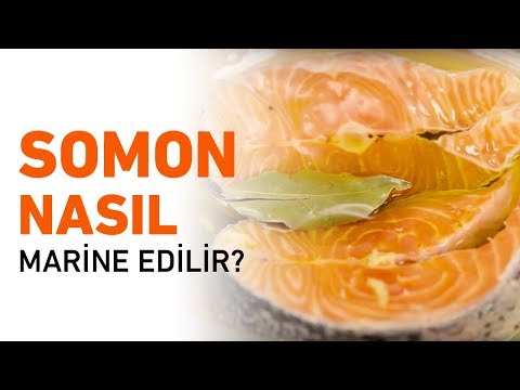 Somon Balığı Nasıl Marine Edilir? | Somon Marine Etmenin En Kolay Yolu