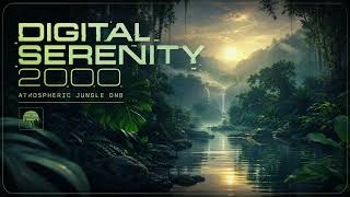 ＤＩＧＩＴＡＬ　ＳＥＲＥＮＩＴＹ　２０００　—　ａ　ｐｌａｙｌｉｓｔ　ｆｒｏｍ　ｔｈｅ　ｏｌｄ　ｉｎｔｅｒｎｅｔ