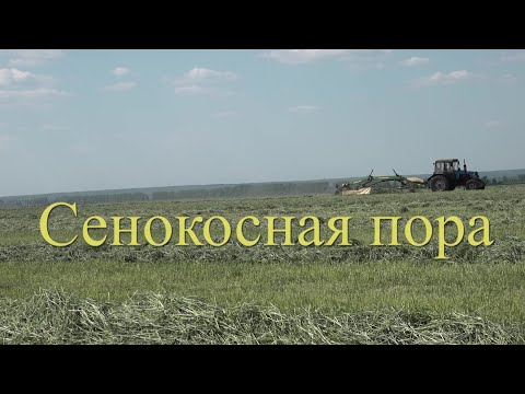 Сенокосная пора