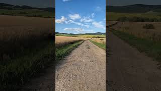 Czy Słowackie Pola Różnią Się Od Polskich?