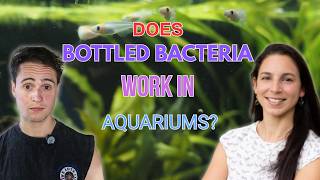 Do Bottled Bacteria Work? - Interview with Dr Alyssa Scagnelli