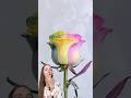 Color Changing Rose 🌹 I see this for the first time #lifehacks #hacks #experiment #asmr