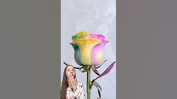 Color Changing Rose 🌹 I see this for the first time #lifehacks #hacks #experiment #asmr