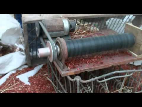 Господарю на замітку #3 : Пристрій для очистки сорго від зерна.