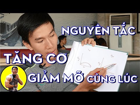 Video Nguyên Tắc Tăng Cơ Giảm Mỡ Cùng Lúc | HLV Cá Nhân Thể... - youtube