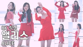 앨리스 멤버별 포토타임 - 쇼챔피언 미니팬미팅 직캠 ALICE Fancam 221123