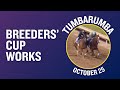 TUMBARUMBA Works at Churchill Downs - October 25