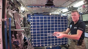 Astro Academy: Principia - Horizontal ball in hoop Tim holding