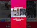 Así se prepara la Brigada Canina del Ejército