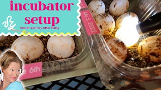 Hatching Leopard Tortoise Eggs: Poultry Incubator Conversion Secrets!