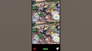 Find The Difference Puzzle Game Level 50