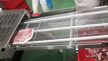 Bizerba A550 - Operation with tray sealer machine