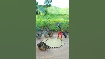 Technique Unique Trap # Creative DIY Quail Bird Trap #shorts