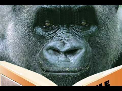 KIDS' SONG -- Monty Miller, Smart Gorilla -- READI...