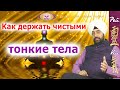 Грязные тонкие тела - чем питаются наши тела | Как очищать тонкие тела?