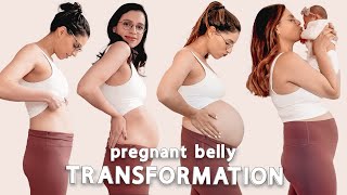 PREGNANCY BABY BUMP TRANSFORMATION | week by week progression