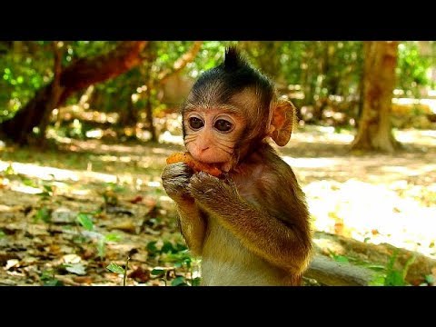 facebook games 2019 Sinny baby Farrha much hungry cos his mom reject milk all time | Farrha in stead milk by fruit