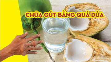 Video hướng dẫn chi tiết cách chữa bệnh gút bằng dừa xiêm và trầu không