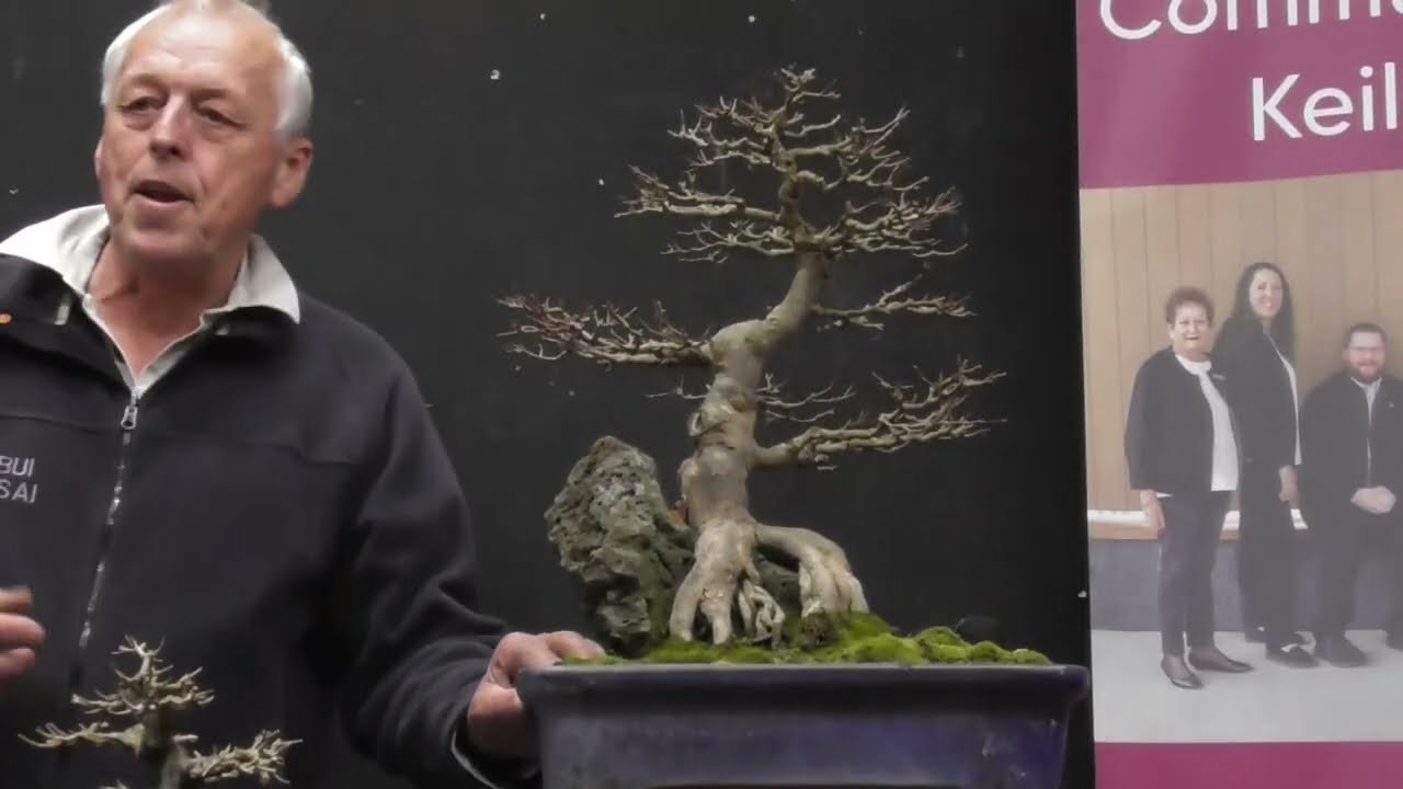 How to create ROOT OVER ROCK Bonsai - best and easiest way to