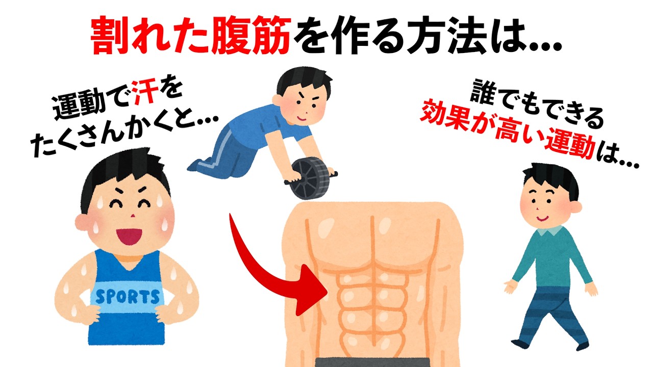 【総集編】もっと早く知りたかった筋トレと健康の雑学　#トリビア#豆知識#筋トレ