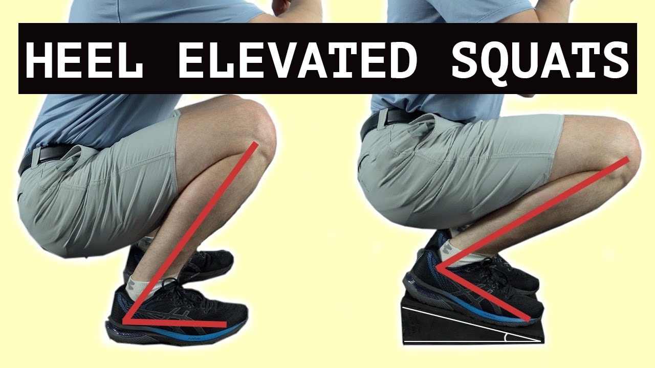 The Muscles Used in Squats - Squat Biomechanics Explained | NASM