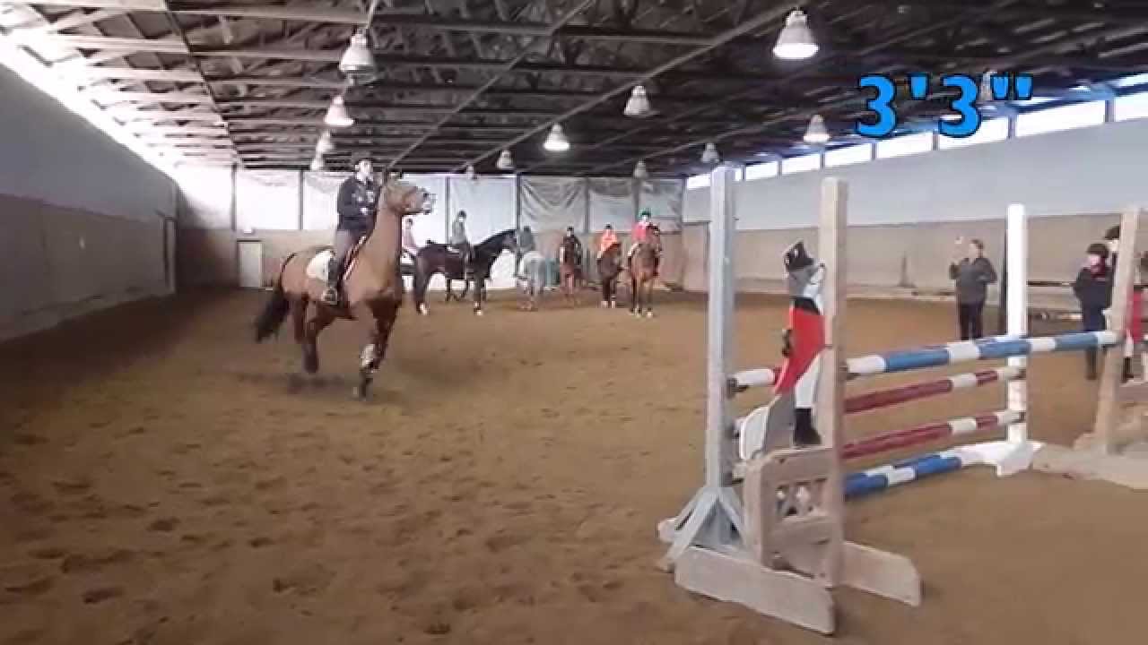 Red Coat Farm High Jump 2014-to 5'6"!