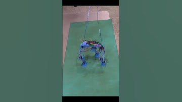 New Robot Learning to Walk  #robotics #3dprinting