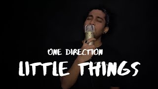 One Direction - Little Things (Cover)