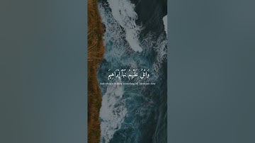 قران كريم |سورة الشعراء |ارح سمعك |راحه نفسيه |رمضان